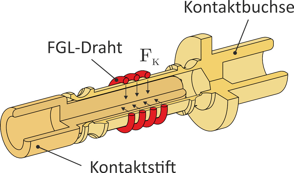 Schnittansicht des FGL-Ladesteckers