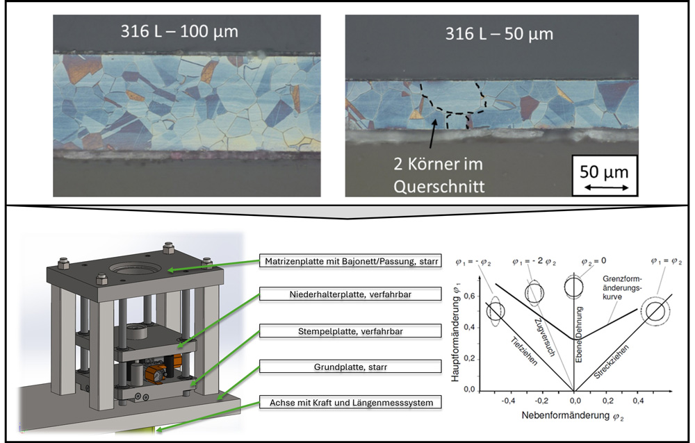 Verschiedene Korngrößen im Stahl 316L; Neues Werkzeugkonzept für Grenzformänderungskurven von Folien